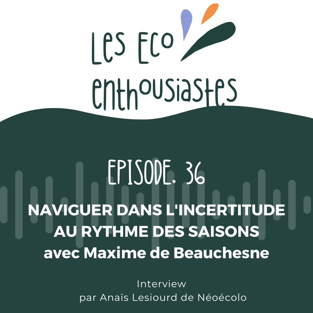 Episode 36